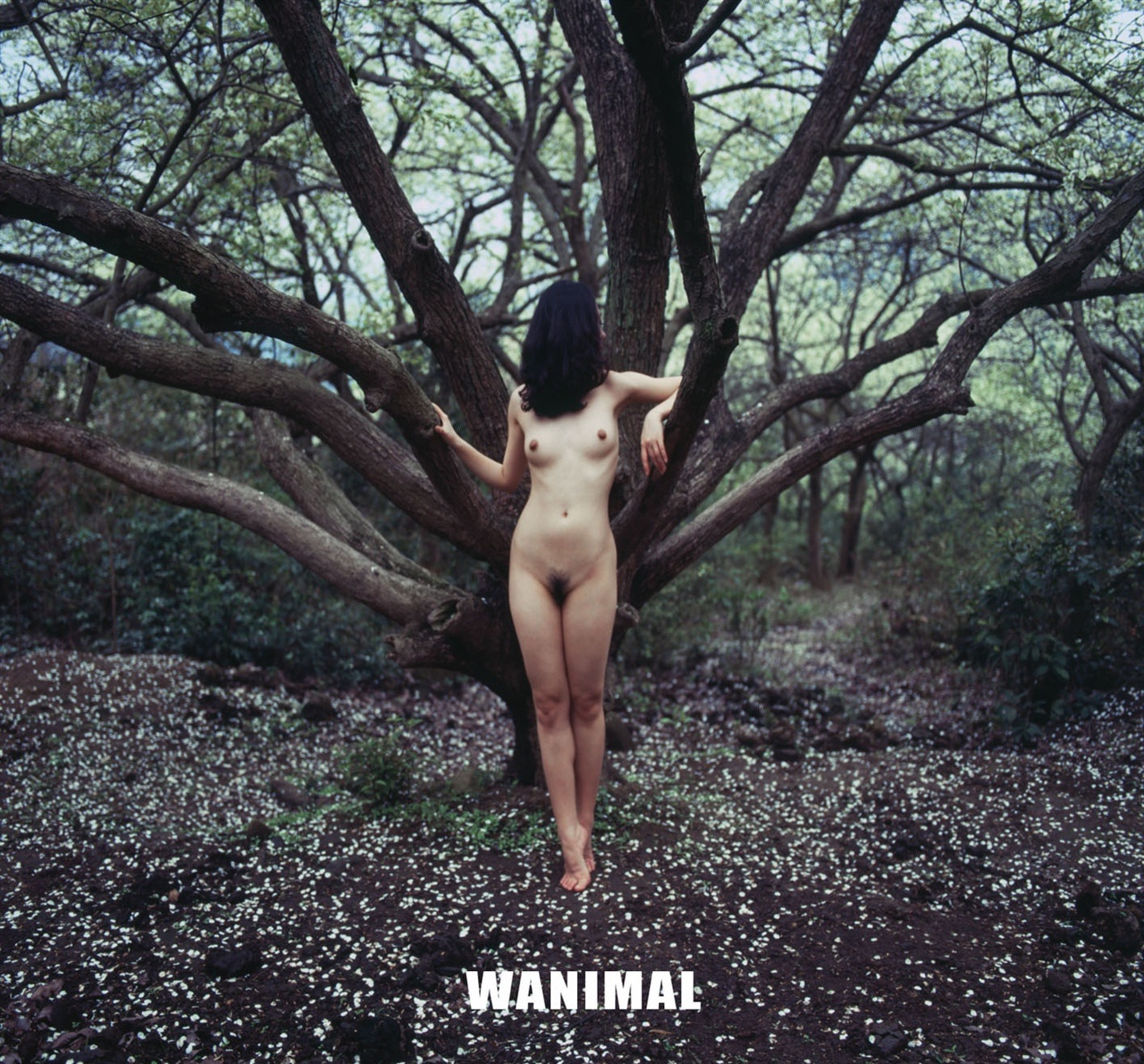 WANIMAL. (40).jpg