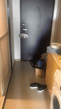 7月2日 (1)(1).gif